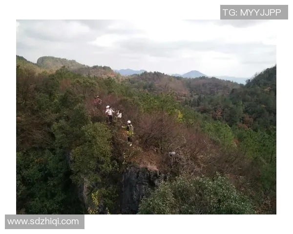 纽伦堡客场豪取关键胜利，壮心冲冠之路再起航